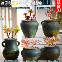 三维工匠多肉花盆套装组合粗陶透气复古陶瓷小盆创意肉肉花盆 乳白色组合01 中等花盆容器