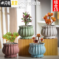 三维工匠多肉花盆套装组合粗陶透气复古陶瓷小盆创意肉肉花盆 姜黄色组合15 中等花盆容器