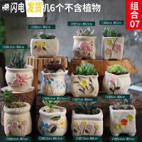 三维工匠多肉花盆套装组合粗陶透气复古陶瓷小盆创意肉肉花盆 桔红色组合07 中等花盆容器