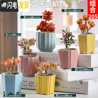 三维工匠多肉花盆套装组合粗陶透气复古陶瓷小盆创意肉肉花盆 孔雀蓝组合205 中等花盆容器