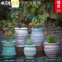 三维工匠多肉花盆套装组合粗陶透气复古陶瓷小盆创意肉肉花盆 白色组合29 中等花盆容器