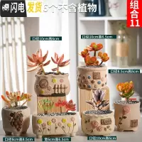 三维工匠多肉花盆套装组合粗陶透气复古陶瓷小盆创意肉肉花盆 藕色组合11 中等花盆容器