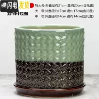 三维工匠大号花盆陶瓷带陶瓷分离托盘简约创意直筒绿萝特大号多肉花盆 藤编绿棕 [大号]花盆容器