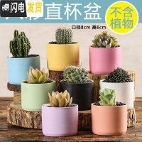三维工匠多肉花盆陶瓷创意个性粗陶透气家用大口径盆栽小花盆 彩虹直杯(8个) 小花盆容器