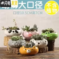 三维工匠多肉花盆陶瓷创意个性粗陶透气家用大口径盆栽小花盆 动物大口径随机(4个) 小花盆容器