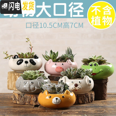 三维工匠多肉花盆陶瓷创意个性粗陶透气家用大口径盆栽小花盆 动物大口径随机(4个) 小花盆容器