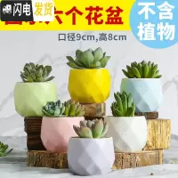 三维工匠多肉花盆陶瓷创意个性粗陶透气家用大口径盆栽小花盆 马卡龙足球(6个) 小花盆容器