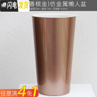 三维工匠懒人绿萝吊兰塑料透明免浇水花盆小绿箩自动吸水大号创意水培花盆 高筒盆A409(香槟金) 中等花盆容器