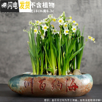 三维工匠水仙花盆陶瓷无孔水培容器铜钱碗莲一叶莲植物盆特大号 款式12 中等花盆容器