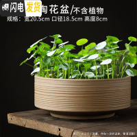 三维工匠水仙花盆陶瓷无孔水培容器铜钱碗莲一叶莲植物盆特大号 款式18 中等花盆容器