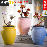 三维工匠老庄多肉花盆悬崖桩肉肉植物小盆器黑法师粗陶大口径创意个性 如图款式18 中等花盆容器