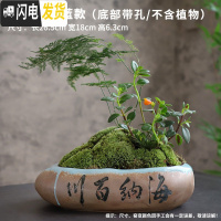 三维工匠多肉花盆大口径特大号陶瓷绿植肉肉盆器创意个性粗陶拼盘 款式-14 大花盆容器