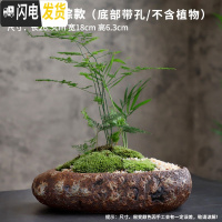 三维工匠多肉花盆大口径特大号陶瓷绿植肉肉盆器创意个性粗陶拼盘 款式-15 大花盆容器