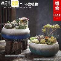 三维工匠多肉花盆大口径特大号陶瓷绿植肉肉盆器创意个性粗陶拼盘 款式-5 大花盆容器