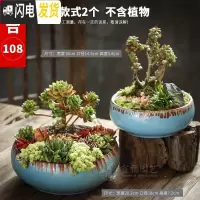 三维工匠多肉花盆大口径特大号陶瓷绿植肉肉盆器创意个性粗陶拼盘 款式-2 大花盆容器