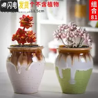 三维工匠老庄多肉花盆悬崖桩肉肉植物小盆器黑法师粗陶大口径创意个性 如图款式7 中等花盆容器