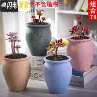 三维工匠老庄多肉花盆悬崖桩肉肉植物小盆器黑法师粗陶大口径创意个性 如图款式4 中等花盆容器