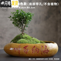 三维工匠多肉花盆大口径特大号陶瓷绿植肉肉盆器创意个性粗陶拼盘 款式-16 大花盆容器