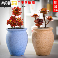 三维工匠老庄多肉花盆悬崖桩肉肉植物小盆器黑法师粗陶大口径创意个性 如图款式10 中等花盆容器