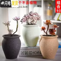 三维工匠老庄多肉花盆悬崖桩肉肉植物小盆器黑法师粗陶大口径创意个性 如图款式19 中等花盆容器