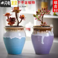 三维工匠老庄多肉花盆悬崖桩肉肉植物小盆器黑法师粗陶大口径创意个性 如图款式8 中等花盆容器