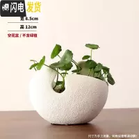 三维工匠简约北欧风格绿萝创意花盆陶瓷铜钱碗莲睡莲无孔水培水仙金钱 白色月牙-小号 大花盆容器