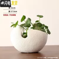 三维工匠简约北欧风格绿萝创意花盆陶瓷铜钱碗莲睡莲无孔水培水仙金钱 白色月牙-中号 大花盆容器