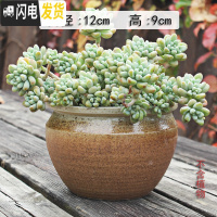 三维工匠多肉花盆大号陶瓷创意简约绿植复古粗陶陶罐植物组合盆栽透气 金色粗陶平口(有孔) 大花盆容器