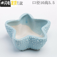 三维工匠少女心创意个性中大号口径拇指好看的多肉植物花盆器陶瓷 浅蓝大号海星盆 中等花盆容器