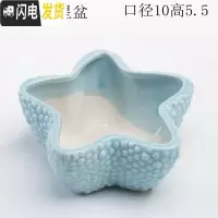三维工匠少女心创意个性中大号口径拇指好看的多肉植物花盆器陶瓷 浅蓝大号海星盆 中等花盆容器