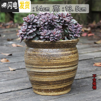 三维工匠多肉花盆大号陶瓷创意简约绿植复古粗陶陶罐植物组合盆栽透气 米白色AD01(有孔) 大花盆容器