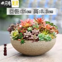 三维工匠多肉花盆大号陶瓷创意简约绿植复古粗陶陶罐植物组合盆栽透气 桔红色J06(有孔) 大花盆容器