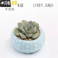 三维工匠少女心创意个性中大号口径拇指好看的多肉植物花盆器陶瓷 浅蓝水滴盆 中等花盆容器