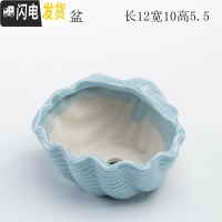 三维工匠少女心创意个性中大号口径拇指好看的多肉植物花盆器陶瓷 浅蓝海贝盆 中等花盆容器