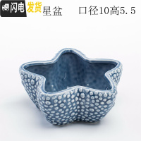 三维工匠少女心创意个性中大号口径拇指好看的多肉植物花盆器陶瓷 蓝色大号海星盆 中等花盆容器