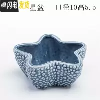 三维工匠少女心创意个性中大号口径拇指好看的多肉植物花盆器陶瓷 蓝色大号海星盆 中等花盆容器