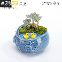 三维工匠少女心创意个性中大号口径拇指好看的多肉植物花盆器陶瓷 蓝色戏水鱼盆 中等花盆容器