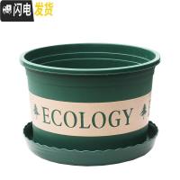 三维工匠塑料玫瑰盆栽花肉肉绿萝月季专用加伦树脂家用特大号超大加仑花盆 [2个盆] 矮胖5.5L(口径25cm)花盆容器