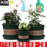 三维工匠塑料玫瑰盆栽花肉肉绿萝月季专用加伦树脂家用特大号超 [5个盆]+营养液+水壶+工具 矮胖7.6L(口径2花盆容器