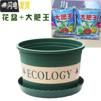 三维工匠塑料玫瑰盆栽花肉肉绿萝月季专用加伦树脂家用特大号超大加仑花 [2个盆]+大肥王3包 矮胖1L(口径13.花盆容器