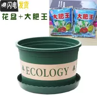 三维工匠塑料玫瑰盆栽花肉肉绿萝月季专用加伦树脂家用特大号超大加仑花 [2个盆]+大肥王3包 矮胖1L(口径13.花盆容器