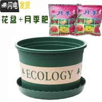 三维工匠塑料玫瑰盆栽花肉肉绿萝月季专用加伦树脂家用特大号超大加 [3个盆]+月季肥3包 矮胖1.7L(口径15.花盆容器