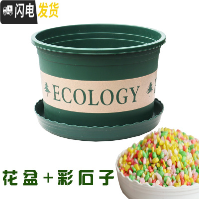 三维工匠塑料玫瑰盆栽花肉肉绿萝月季专用加伦树脂家用特大号超大加仑花 [3个盆]+彩石子2斤 矮胖7.6L(口径2花盆容器