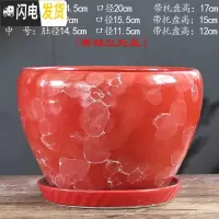 三维工匠北欧简约花盆陶瓷大号带托盘蝴蝶兰创意兰花绿萝绿植多肉花盆 S1CZ-红大理石纹单个 中等花盆容器