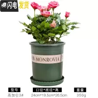 三维工匠塑料矮胖加仑花盆绿萝月季花多肉育苗盆加厚小加仑盆 高加仑3号含托盘5个装[满十送一] 大花盆容器