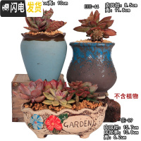 三维工匠多肉花盆陶瓷粗陶透气简约肉肉植物创意复古大小口径花盆 EEE43-44花89三件套 大花盆容器