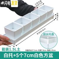 三维工匠控根多肉花盆套装组合塑料创意个性简约透气北欧风肉肉小盆器 [窄排水白托]+5个白盆(7cm盆) 中小花盆容器