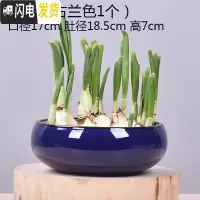 三维工匠无孔陶瓷水培花盆水仙铜钱睡莲荷花多肉特大号花盆 色釉(古兰色1个) 中等花盆容器