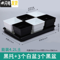 三维工匠控根多肉花盆套装组合塑料创意个性简约透气北欧风肉肉小盆器 黑托+黑白盆各3个(10cm盆) 中小花盆容器