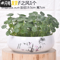 三维工匠无孔陶瓷水培花盆水仙铜钱睡莲荷花多肉特大号花盆 无孔-君子之风1个 中等花盆容器